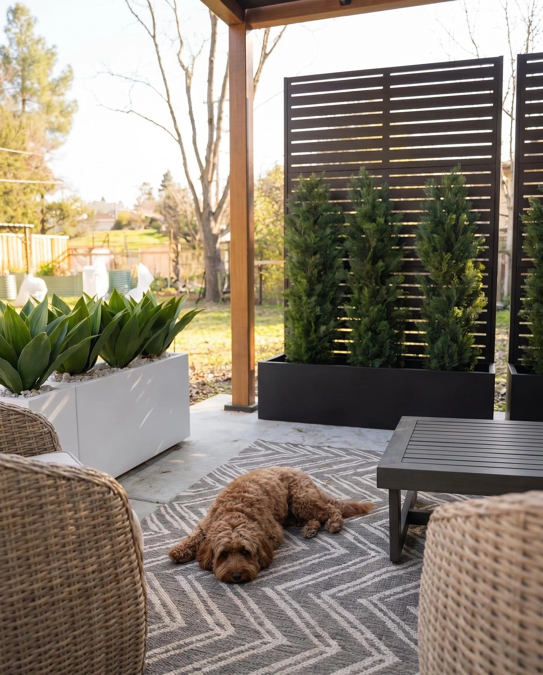 All-in-One Garden Planter & Privacy Screen Outdoor Space Partition Fence